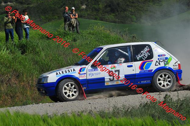 DSC_1347.JPG